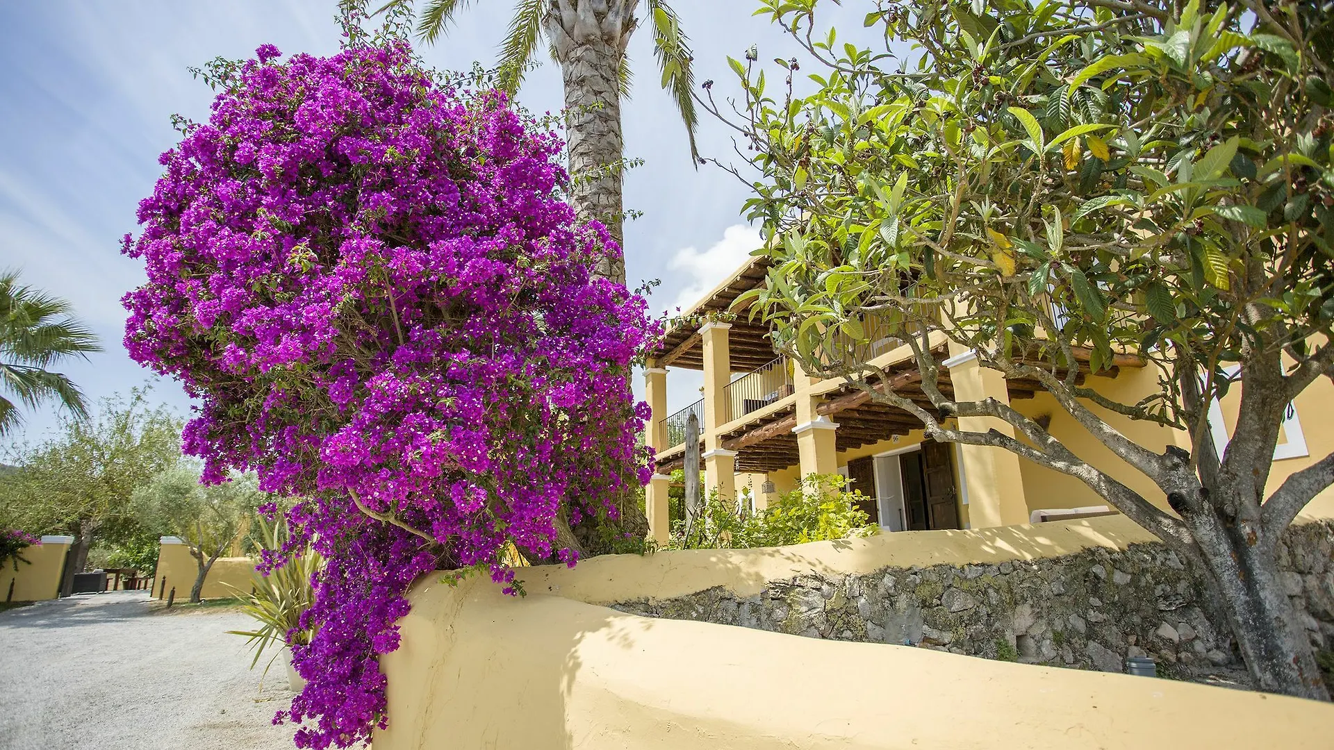 *** Hotel Las Mariposas Ibiza San Rafael De Sa Creu Spain